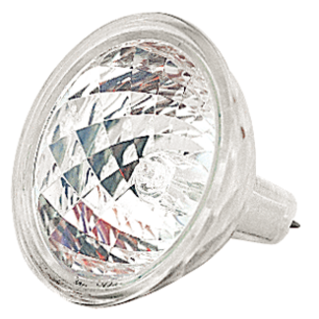 Halogen Bulb w/Reflector
