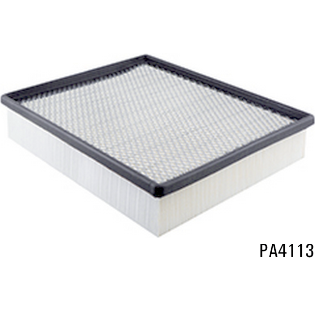 PA4113 - Panel Air Element