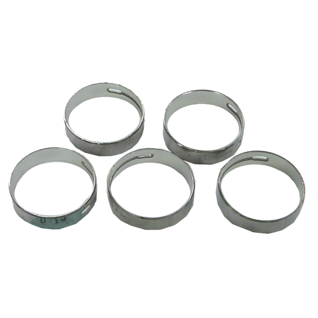 Cam Bearings