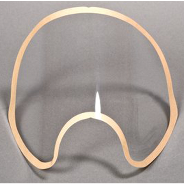 FF-400-17 SEMI-PERM LENS PROTECTOR