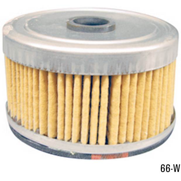 66-W - DAHL Fuel Element