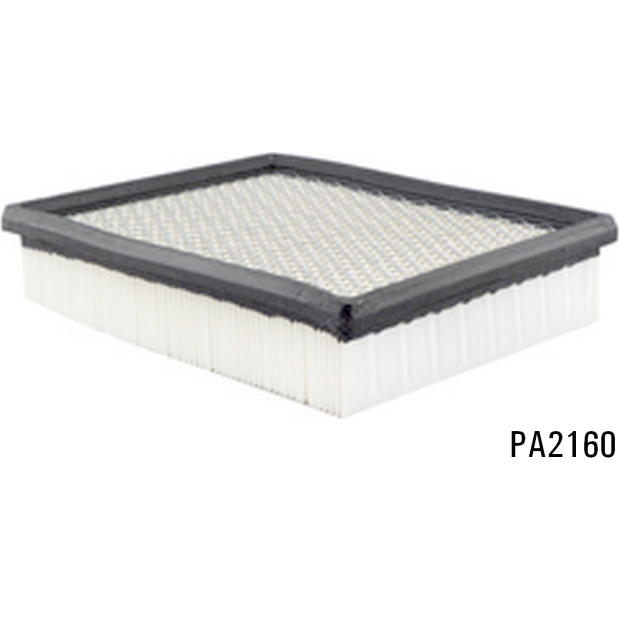 PA2160 - Panel Air Element