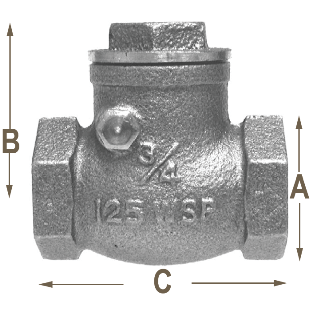 Swing Check Valves