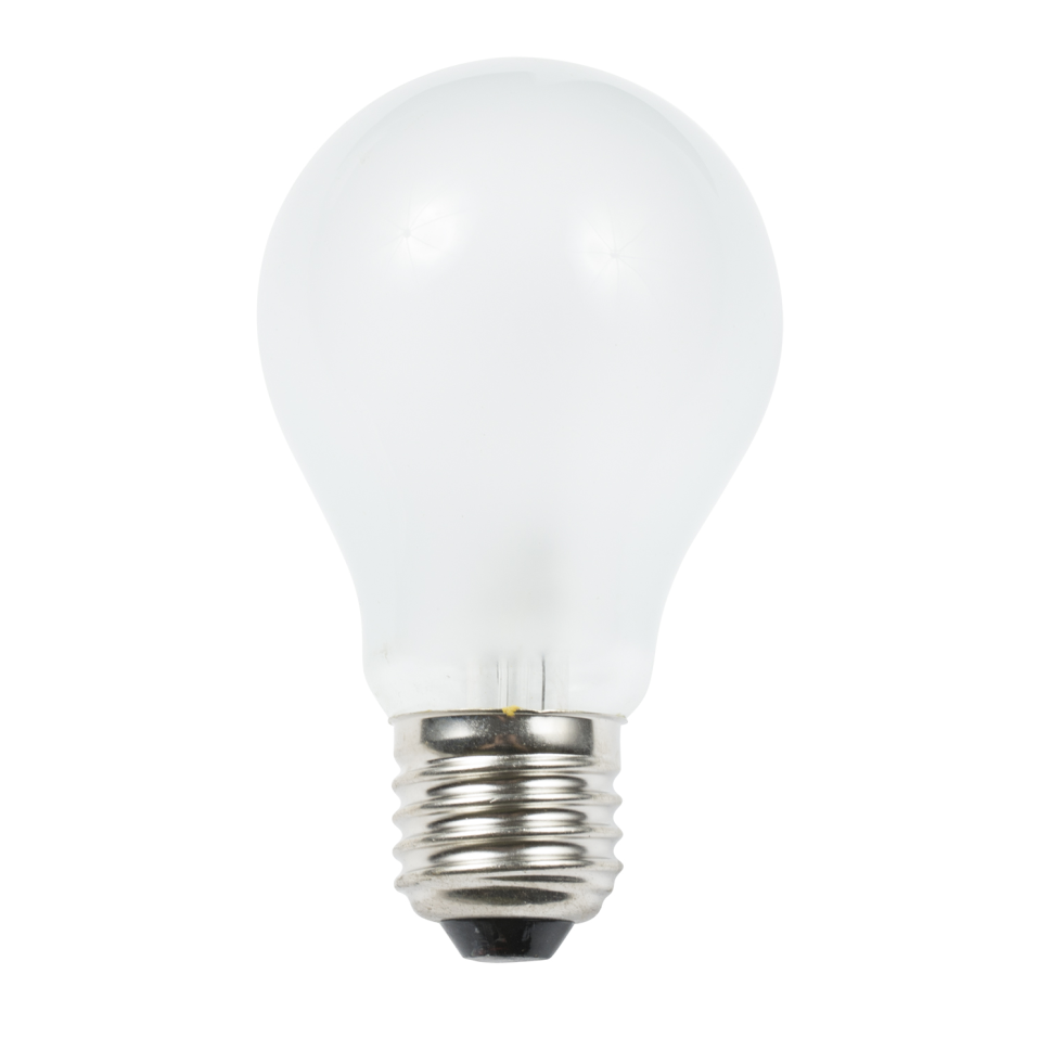 Ancor 24V Medium Screw Base Incandescent Bulbs - 55W to 50W