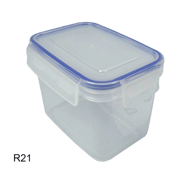 angled view r21 of GetStorganized SnapTainer - Snap/Lock Boxes
