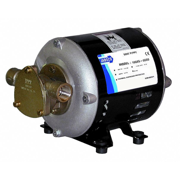 18685 of Jabsco 115 Volt AC Vane Pump