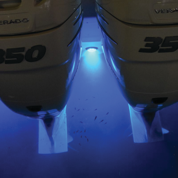 SeaBlaze Mini LED Underwater Light - Spectrum