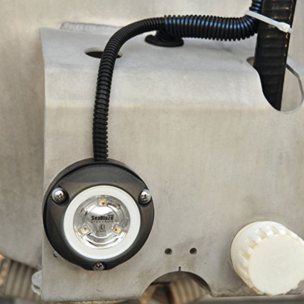 Zambezi  Mini Surface Mount LED Underwater Light