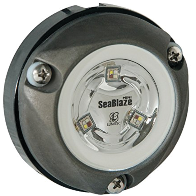 Zambezi  Mini Surface Mount LED Underwater Light
