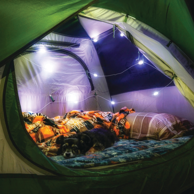 Luci Solar String Lights