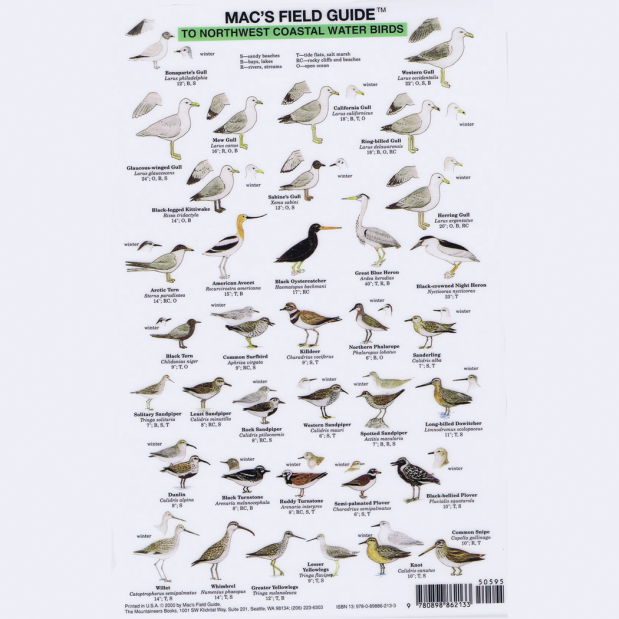Mac's Field Guides - Northwest Coastal Waterbirds