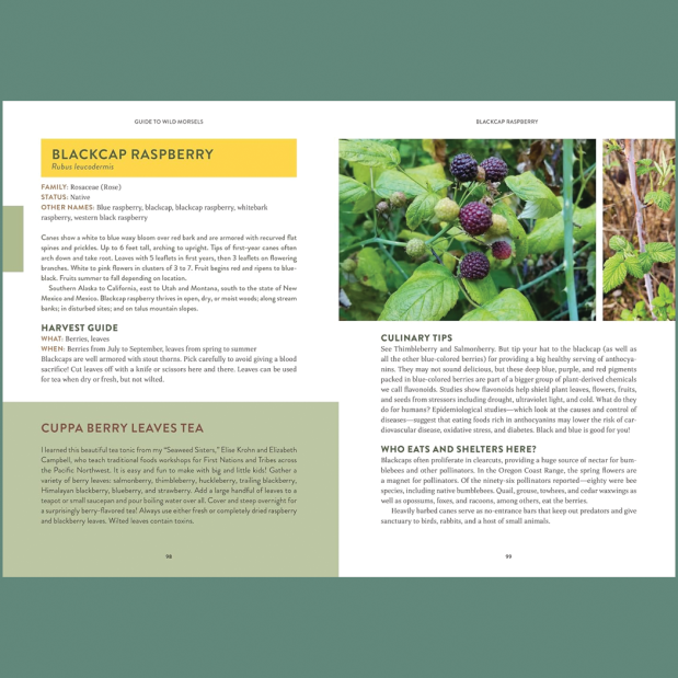 Pacific Harvest: A Northwest Coast Foraging Guide 