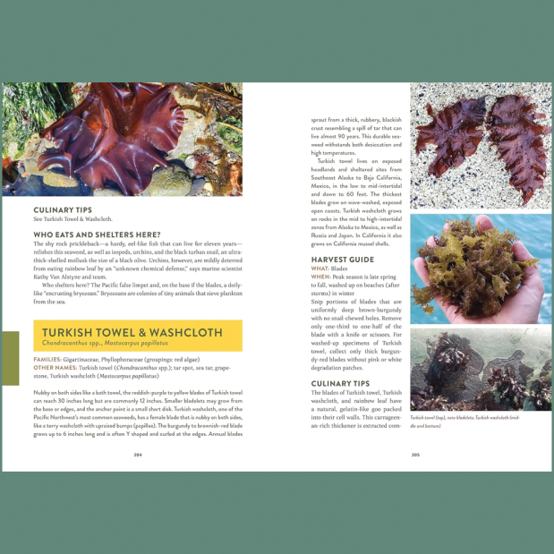 Pacific Harvest: A Northwest Coast Foraging Guide 