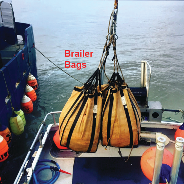 Market Tote - Brailer Beige