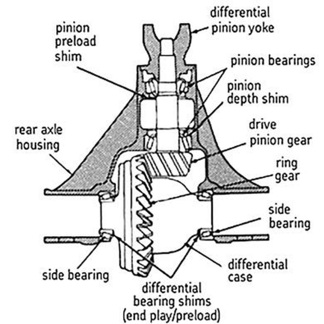 Sierra Mercury Pinion Bearings