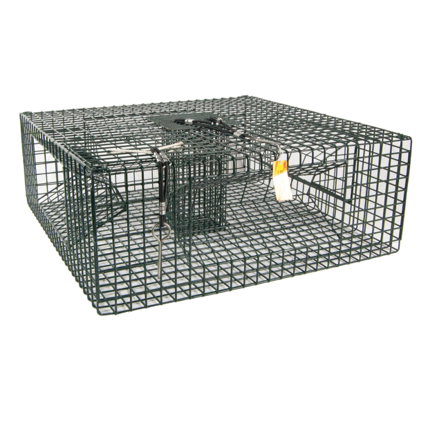 Shrimp Trap - Collapsible 