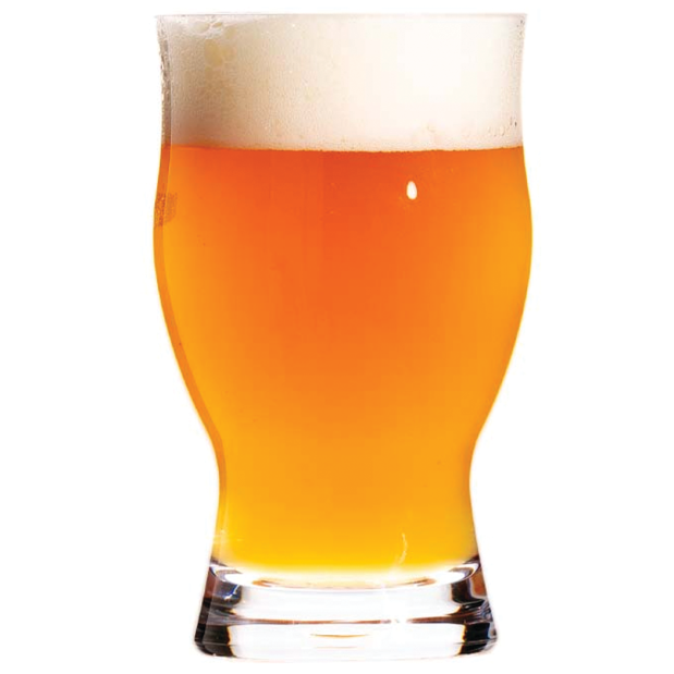 Revelution 16 oz. Polycarbonate Beer Glass