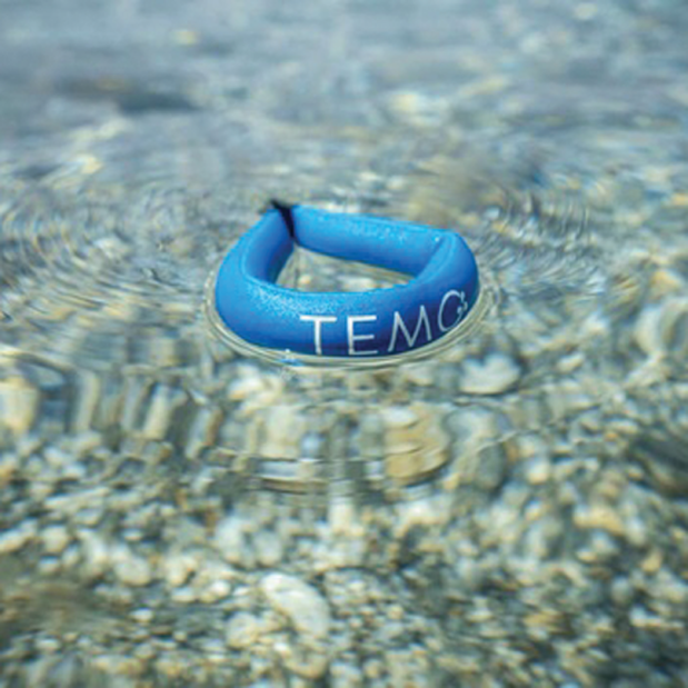 TEMO 1000 Magnetic Spare Safety Key