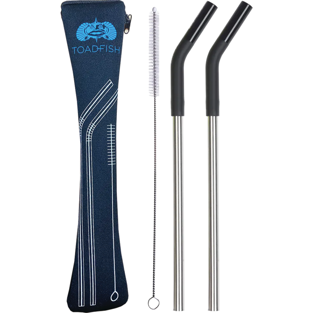 Toadfish 2 Pack Stainless Steel Straws w/ Case & Cleaner