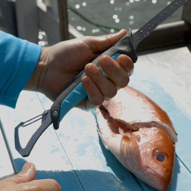 Stowaway 7" Folding Fillet