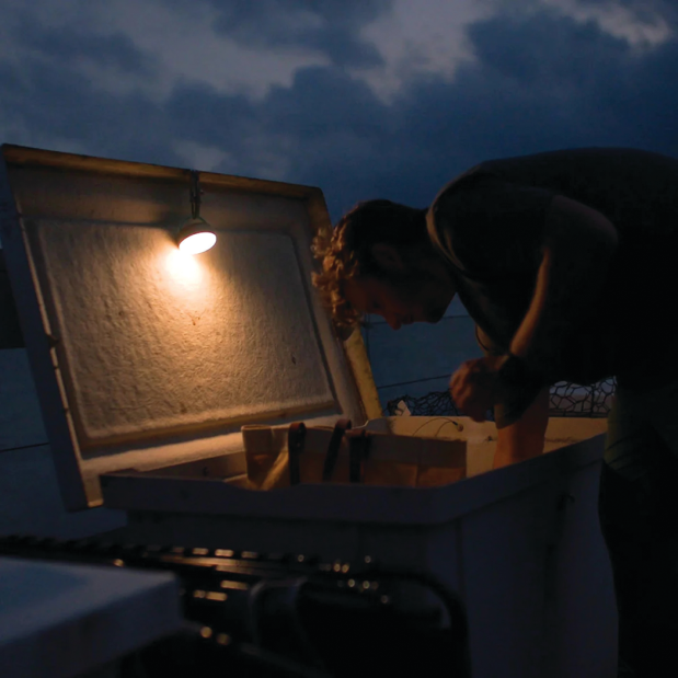 Stowaway LED Lantern
