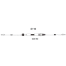 C23BC Stainless Steel Engine Control Cable