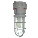Vaportight Incandescent Luminarie Fixture
