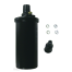 Ignition Coils