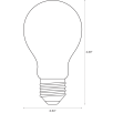 Ancor 24V Medium Screw Base Incandescent Bulbs - 55W to 50W