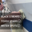 Streak Fixer - Black Streak Remover + Protector
