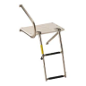 Transom Platform with Telescoping Ladder, 2 step