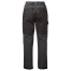 back of Gill Men's Coastal Pant