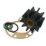 kit of Jabsco 43210 Engine Cooling Water Pump - Service Kit