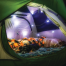 Luci Solar String Lights