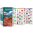 open of Nautical Books Northwestern Seashore Life