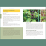Pacific Harvest: A Northwest Coast Foraging Guide 