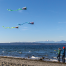 Pocket Flyer Single Line Kites