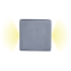 LED Square Courtesy Light