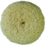 Shurhold Pro Rotary Polisher Pads