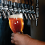 Revelution 16 oz. Polycarbonate Beer Glass