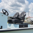 ProBax Orthopedic Captain's Seat with Patented Dual Foam Technology
