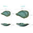 Oyster Shell Serving Bowls, 2-Pack