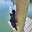 Dockline and Boat Hook Holder