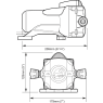 Watermaster Automatic Pressure Pump