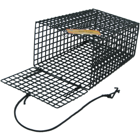Bait Cage for Crab Trap