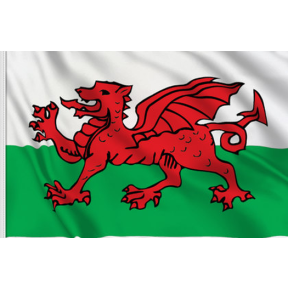 Annin Wales Flag - Printed Nylon