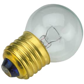 12V Medium Screw Base Light Bulb