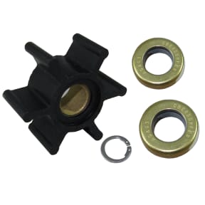 Flange Mount Bronze Impeller Pumps