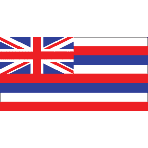 Hawaiian State Flag