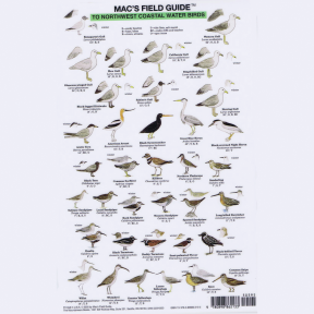 MACS FIELD GUIDE/NW COASTAL BIRDS